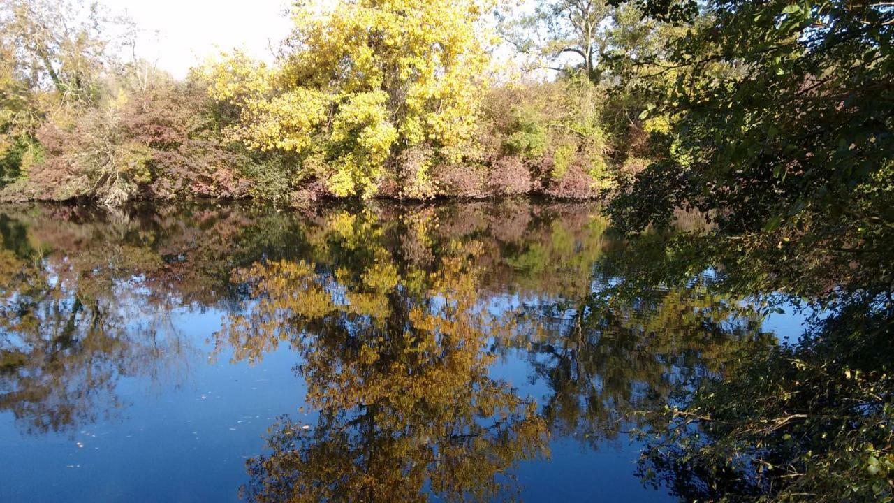 Le Domaine Des Platanes Bed & Breakfast Bourg-Charente Eksteriør bilde